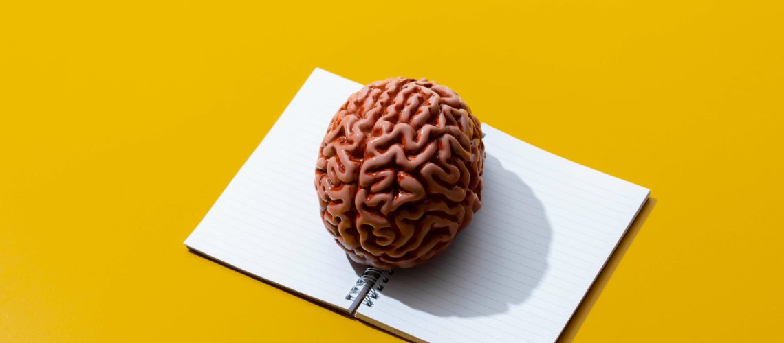 brain notebook